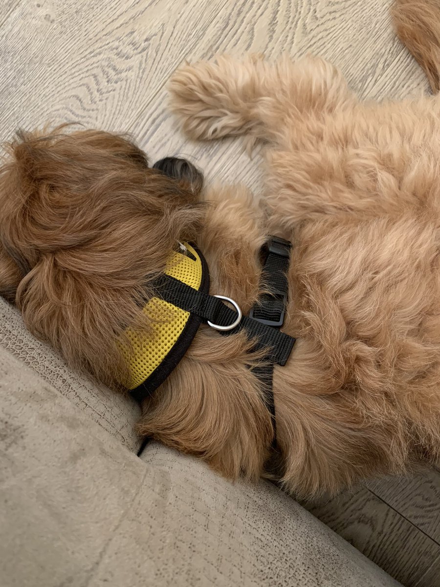 Good Night! ❤️⚡️