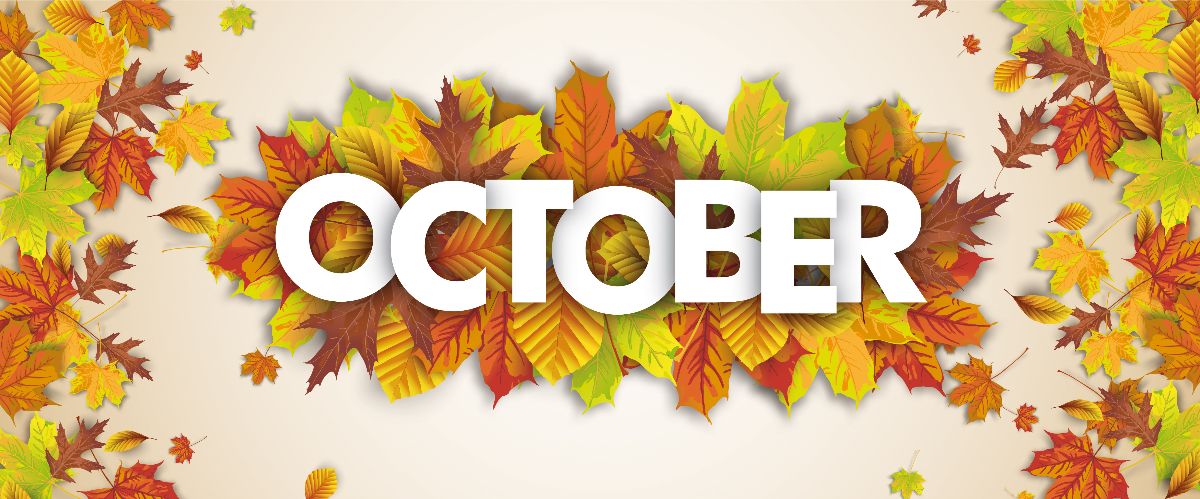 walesquality's tweet photo. What's coming this October? - https://t.co/6W5p11h46x https://t.co/A92Nq3Raz6