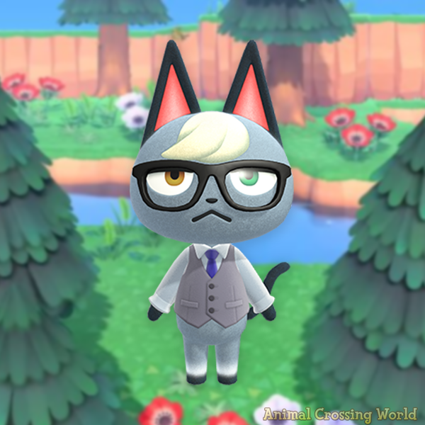 Animal Crossing World 🏝️ tweet media