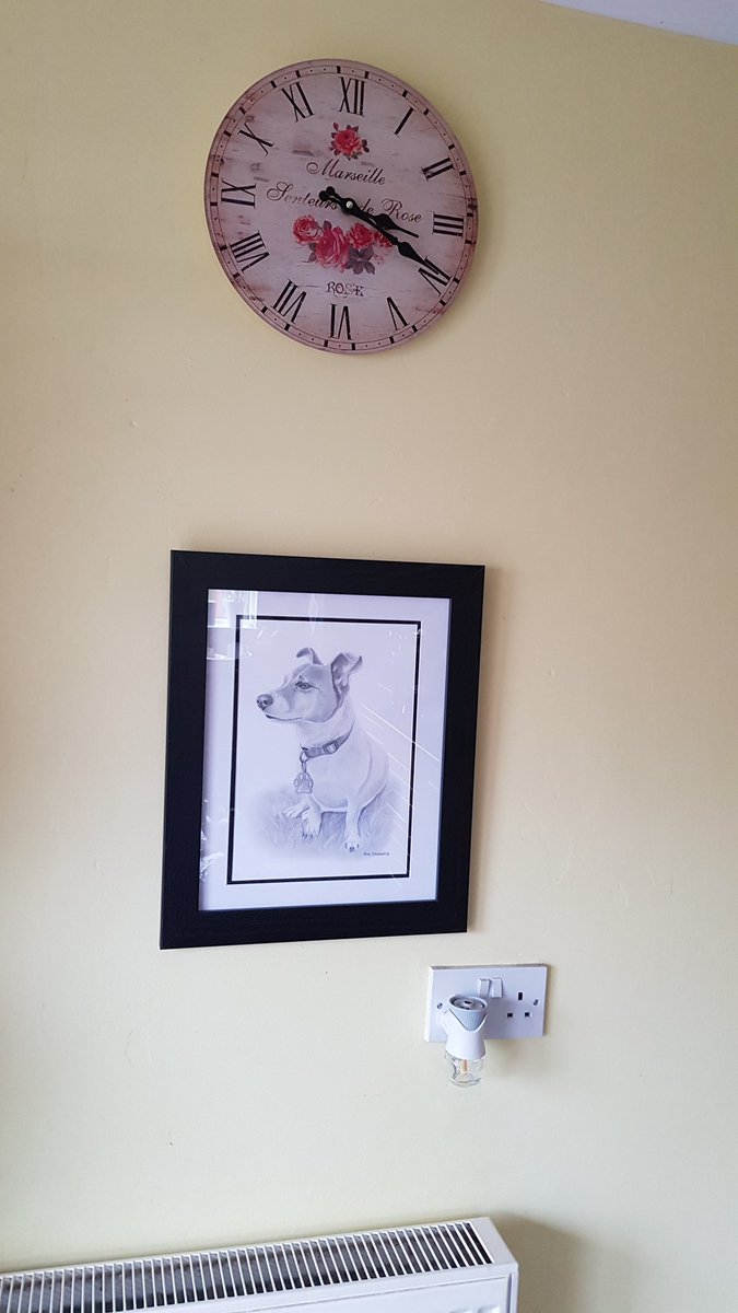 soproudmum's tweet photo. Our darling boy hanging on the wall just above where his bed use to be thankyou @RikSaggers #missinghimsomuch #specialdog #alwaysinourhearts 🌈 https://t.co/11XRZ9DUZ6