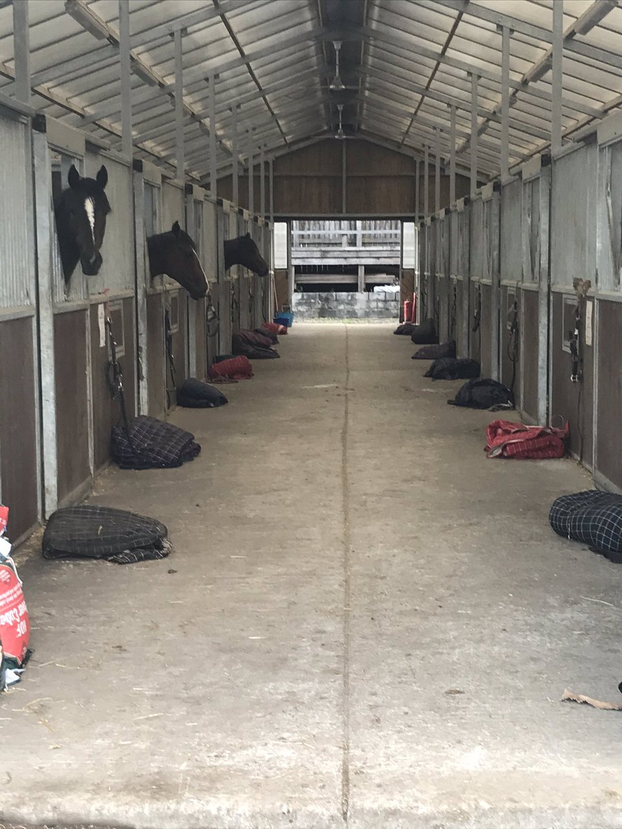 DAK Training tweet media