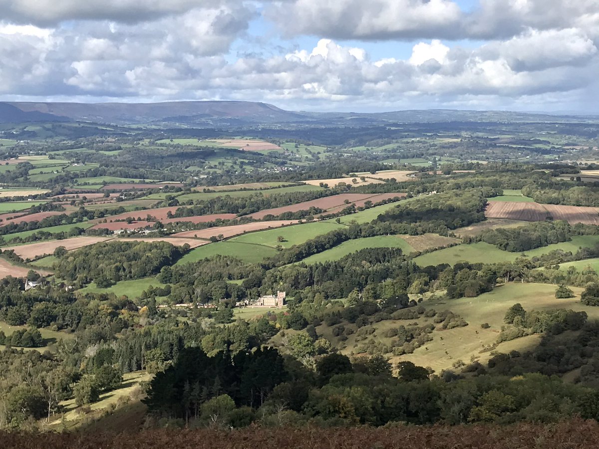finstumpf's tweet photo. Short walk from the village. Of course different #COVID19 compliance required. Great day to climb #GarwayHill with views of @kentchurchcourt and the #CatsBack
@RamblersGB @VisitHfds https://t.co/iPgqlGUgjw