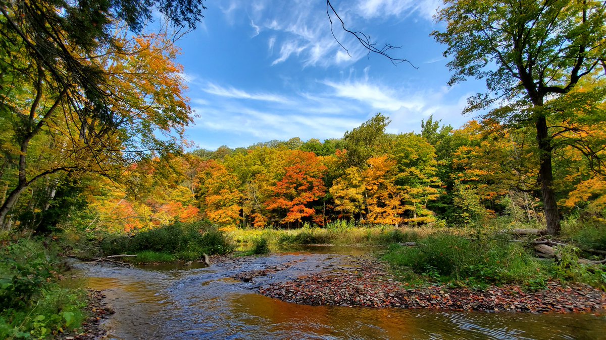 JustOutAndAbout's tweet photo. Hello October! 
@OPBronteCreek @OntarioParks #Hiking #BronteCreek #DiscoverON #FallColours https://t.co/3Bi4R9Xbbt