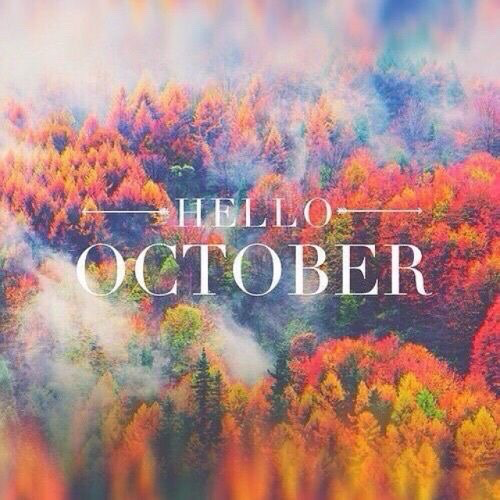TornadoQuest's tweet photo. Hello October. Chapter 10 of 12 in a year thatβs like no other for many of us. #october #chapter10of12 https://t.co/pmBQlFcgs9