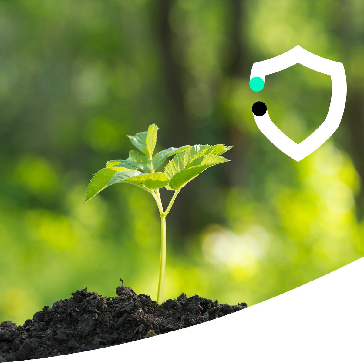 The annual assessment of the Principles for Responsible Investment backed by the United Nations (PRI) led to an A + rating for our partner Amundi for its ESG strategy and management. To find out more about our investment funds: bit.ly/3eaJ2ch