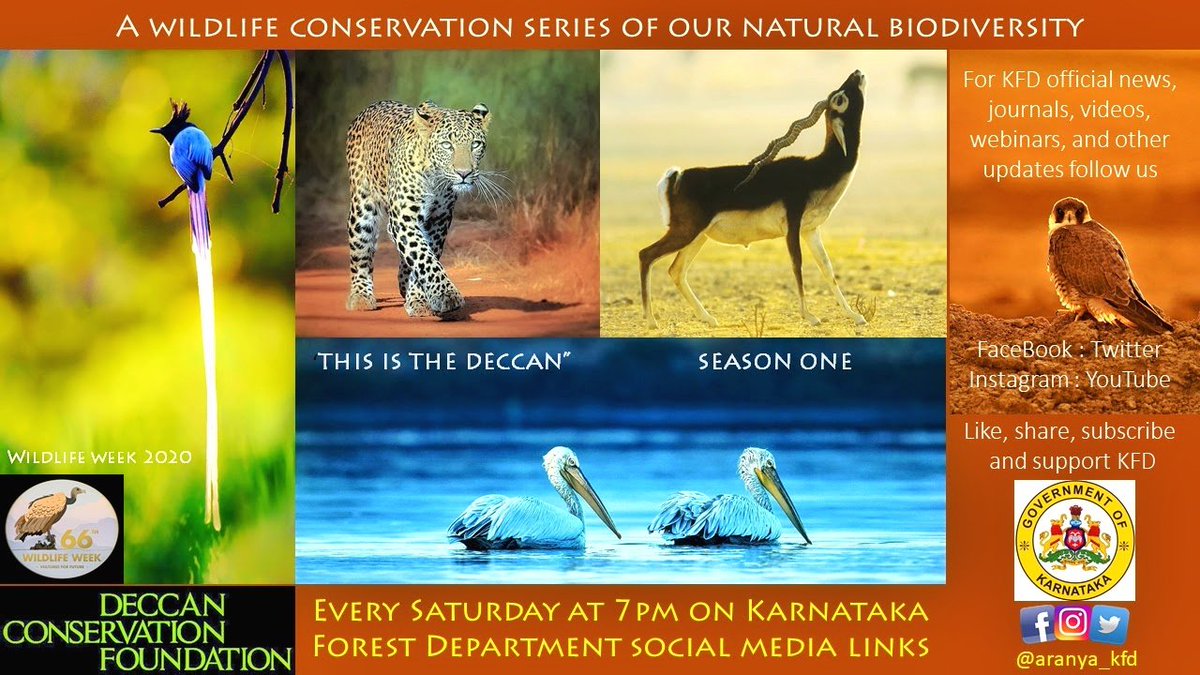 indrajitghorpad's tweet photo. Follow @dcfindia.org.in of YouTube, FaceBook and YouTube https://t.co/EHiw3sgVeW