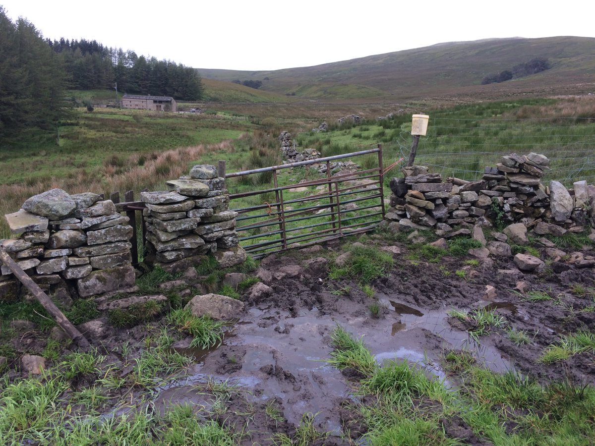 There's very few landmarks, so they're named well.Double Hole Bridge.I looked away from a chaotic-looking, hard working farm. Passed by, looking for Alfred's "lovely" valley.Cursed a farmer for this stile & path.And a crappy joke of a fence that was throttling their sheep.