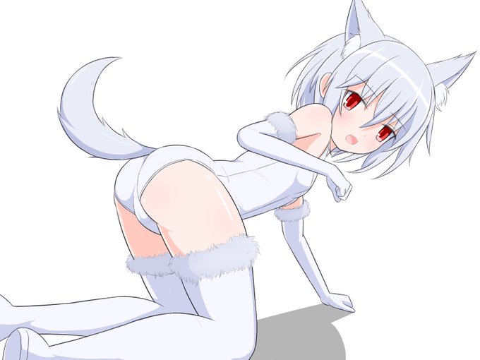 絵344号「ノエさん」
ハロウィンシーズン!ウェアウルフ!わんわんわわんわん!! 