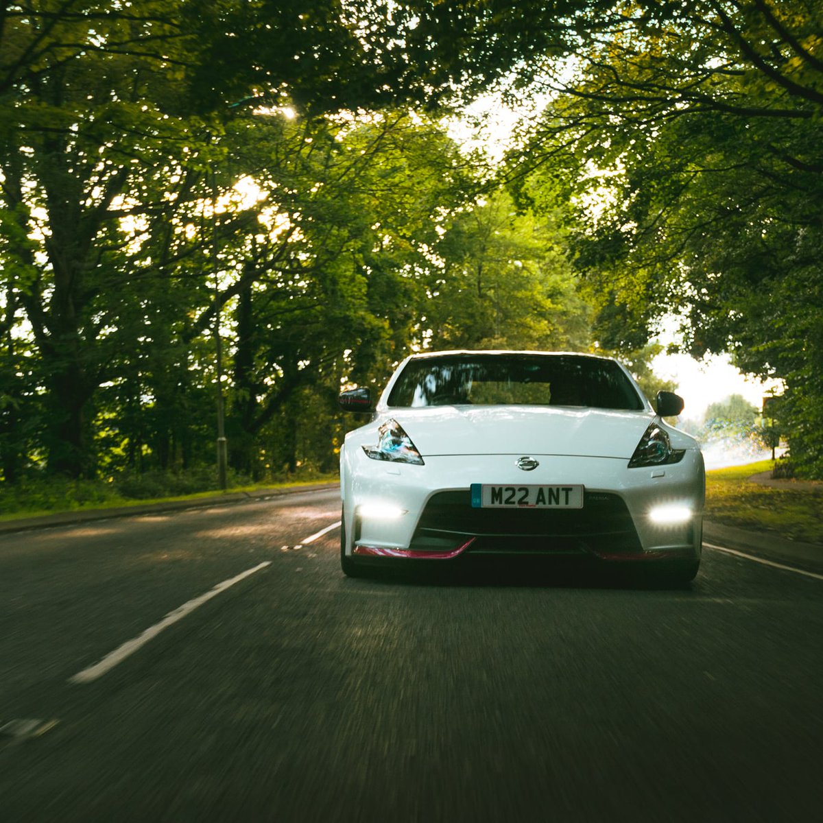 Z34nismo Z34nismo