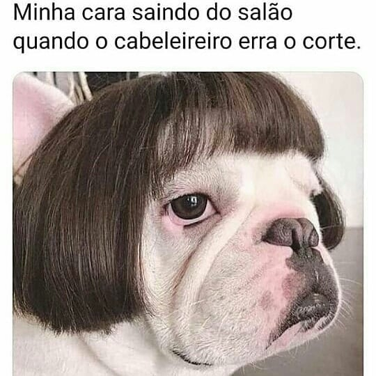 balaioderisos's tweet photo. Bem assim! https://t.co/QW932JBdnm