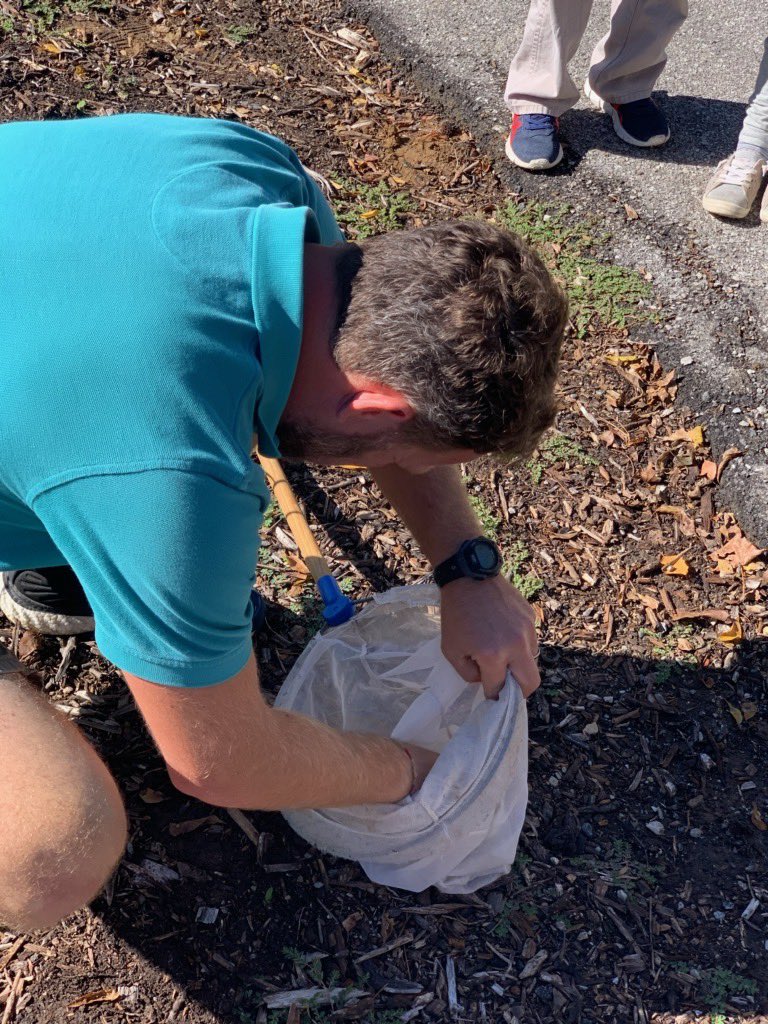 PrinOutdoorEd's tweet photo. Tagging monarch butterflies @PrincipiaSchool in late summer / early fall is now a thing! The data is used for the ultimate goal of improved conservation. Thanks for the help and enthusiasm, Hervey’s second graders!
#outdoorlearning
#handsonlearning
#monarchtagging https://t.co/WohAn8P2gf