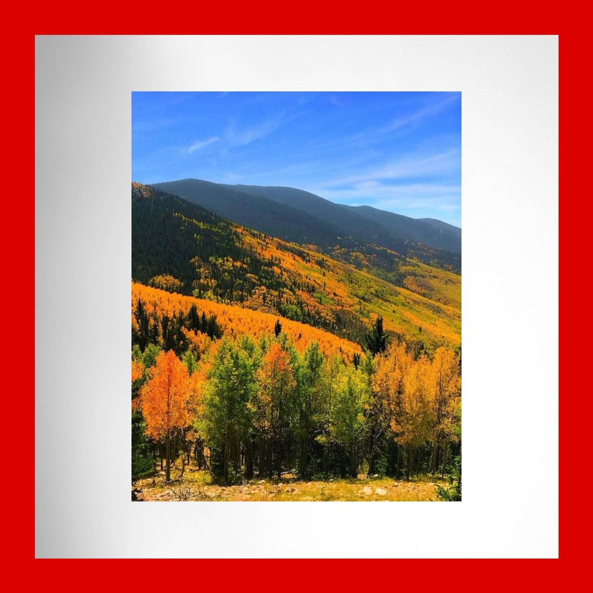KWSantaFeStyle's tweet photo. The hills are alive with color. Happy October 1st!
Photo by @nmhikergirl via @cityofsantafe on Instagram.
#leafpeeping #santafefall #autumn #aspens #newmexico #movingtosantafe #newmexicotrue #thecitydifferent #landofenchantment #KWCEO #santaferealestate #kellerwilliams https://t.co/v7SskUc1sM