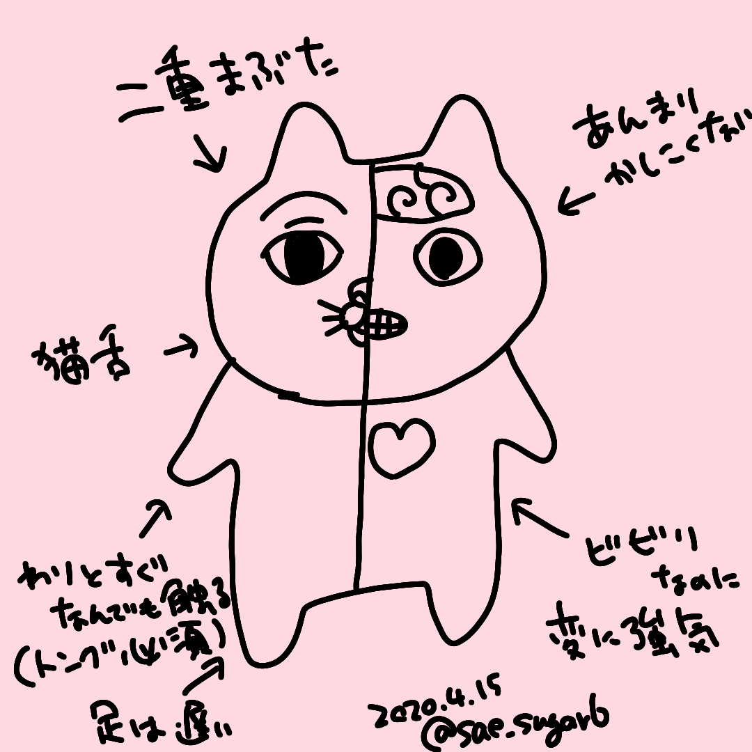 こんなかんじ 
