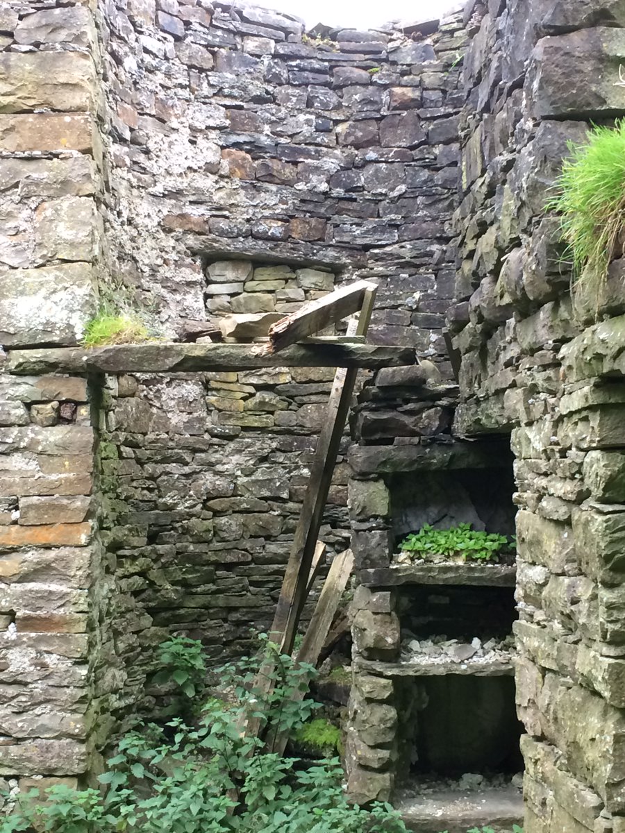 Maybe because of this, four red squirrels turned up by the last house in the valley. It was the quietest sound I've heard.The only person I saw, was clearly worried about my binoculars. Fired up a brushcutter that deafened the next mile, right up to this C17th Quaker ground...