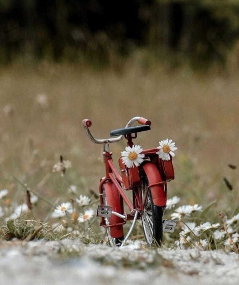 وإذا البشائر لم تحِن أوقاتها 
فلِحكمةٍ عند الإله تأخرت
سيسوقها في حينها فاصبرلها
حتى وإن ضاقت عليك وأقفرت
وغداً سيجري دمع عينك فرحةً
وترى السحائب بالأماني أمطرت
وترى ظروف الأمس صارت بلسما
وهي التي أعيتك حين تعسرت
وتقولُ سبحان الذي رفع البلاء
مِن بعد أن فُقد الرجاء تيسرت لقائلها