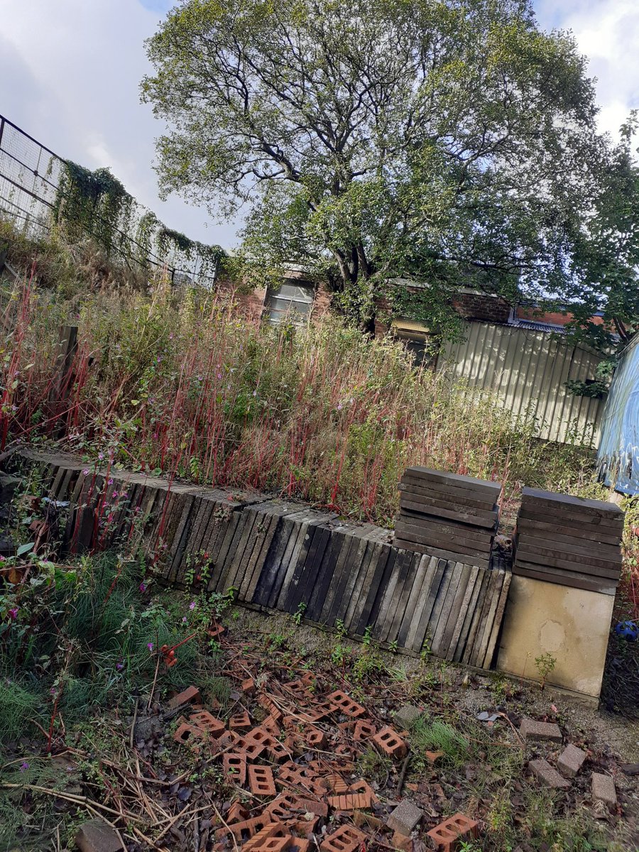 Oldham Prince's Trust tweet media