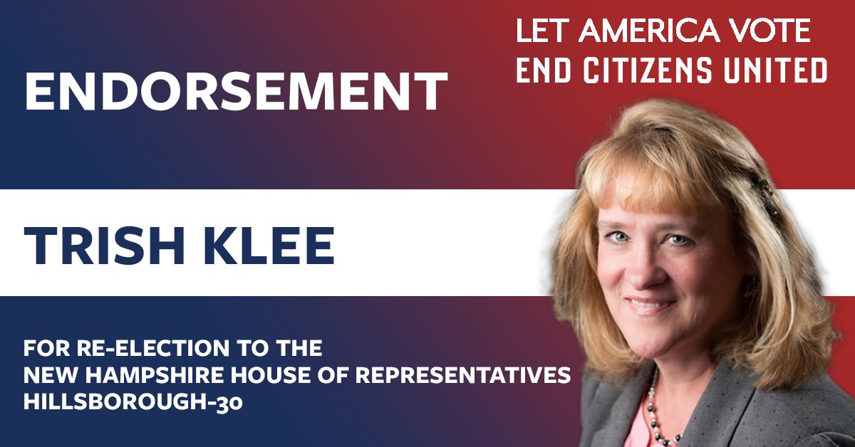 For_Reform's tweet photo. As the Chair of the State-Fed relations committee, Rep. @TrishKleeNH has fought to overturn Citizens United. We’re proud to support her campaign and are ready to re-elect her to the NH House this November. #NHPolitics https://t.co/LTwzJbPhTe