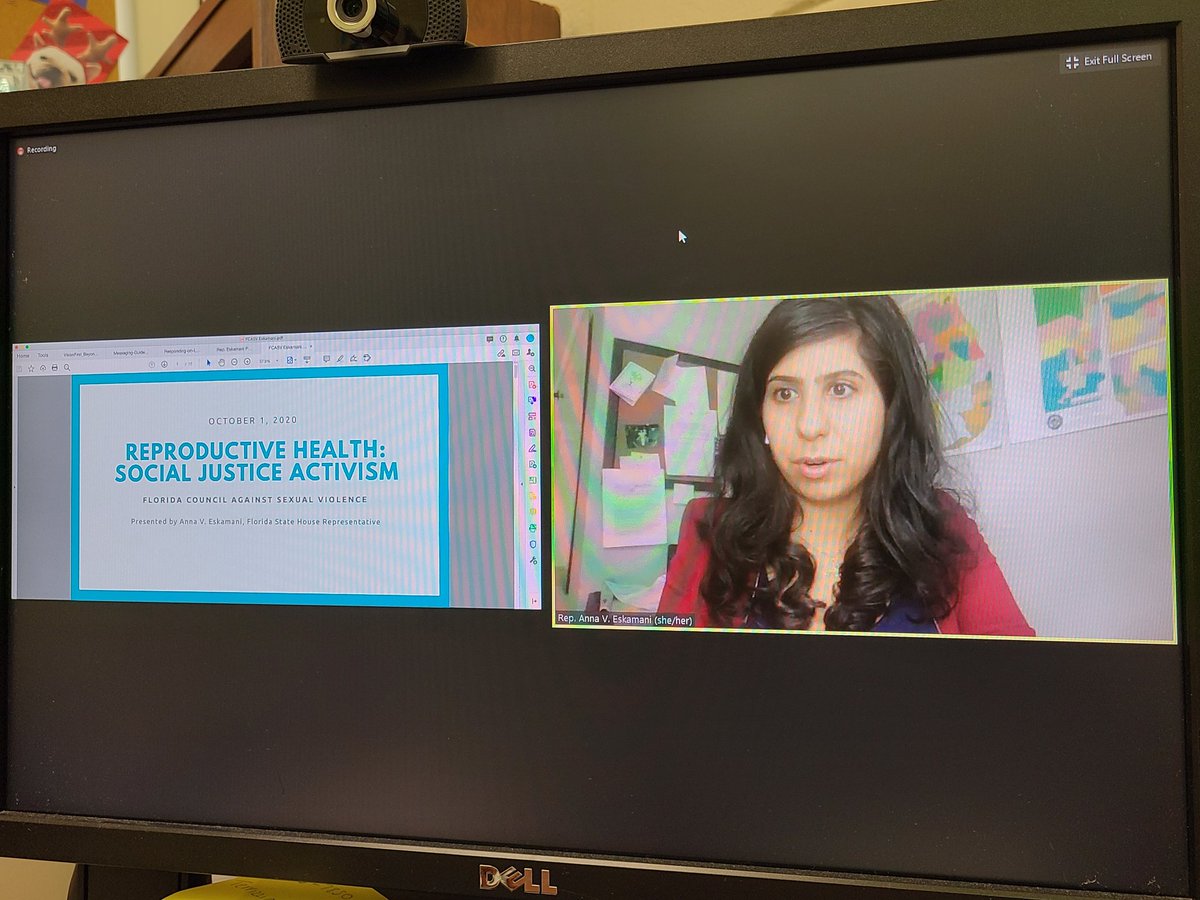 hollycarotenuto's tweet photo. Getting to hang out virtually and listen to @AnnaForFlorida today! #fcasv https://t.co/iZ2tQcCFe8