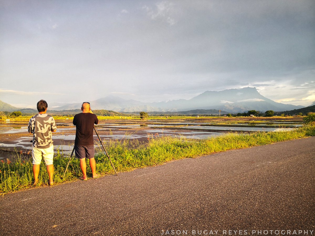 jasonbugayreyes's tweet photo. The joy of #birding with friends #mtkinabalu #Tempasuk paddy fields #KotaBelud #sabah #birds #birdsofborneo #landscapes https://t.co/tgY6kDRgV7