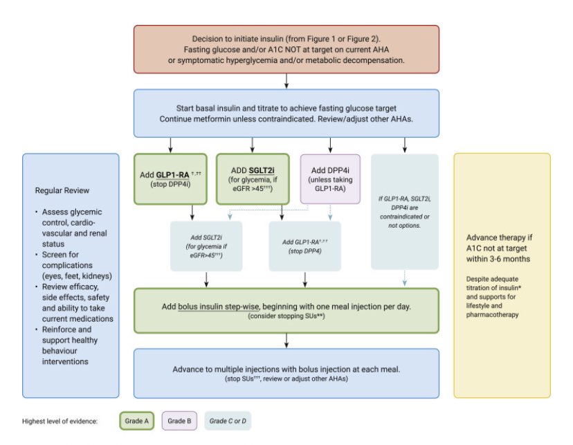 Cristina Tejera (@cristinatejerap) on Twitter photo Tratamiento 💊 de la #diabetes tipo 2 propuesto por <a href="/DiabetesCanada/">Diabetes Canada</a> de acuerdo con la evidencia actual. Focus en prevención cardiovasc y renal 💙❤️🤎 Dont forget lifestyle! ▶️ canadianjournalofdiabetes.com/article/S1499-… guide ▶️ canadianjournalofdiabetes.com/article/S1499-… #endopower Tratamiento 💊 de la #diabetes tipo 2 propuesto por <a href="/DiabetesCanada/">Diabetes Canada</a> de acuerdo con la evidencia actual. Focus en prevención cardiovasc y renal 💙❤️🤎 Dont forget lifestyle! ▶️ canadianjournalofdiabetes.com/article/S1499-… guide ▶️ canadianjournalofdiabetes.com/article/S1499-… #endopower