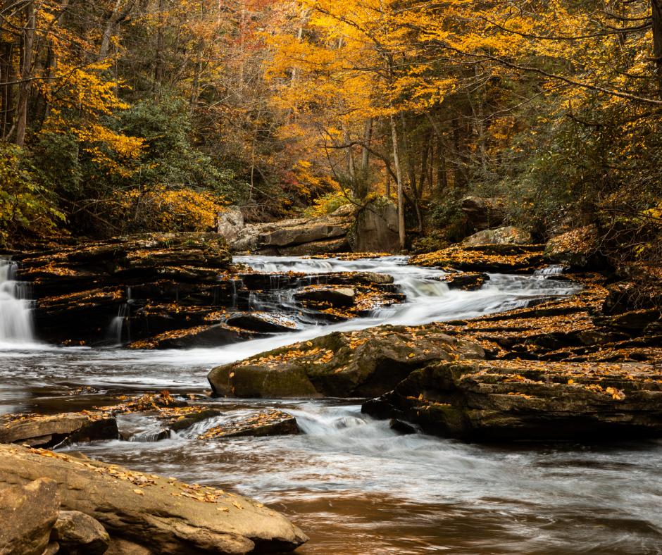 October is officially here! We love autumn because of how picturesque it is. What about you, what's your favorite thing about the season? 

photorepairpro.com
.
.
. 
#photorepairpro #photoretouching #oldphoto #photography #photorepair #oldphotosofinstagram #restoringmemo...