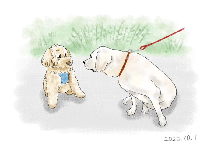 犬の絵描いチャラ男のtwitterイラスト検索結果 犬の絵描いチャラ男のtwitterイラスト検索結果