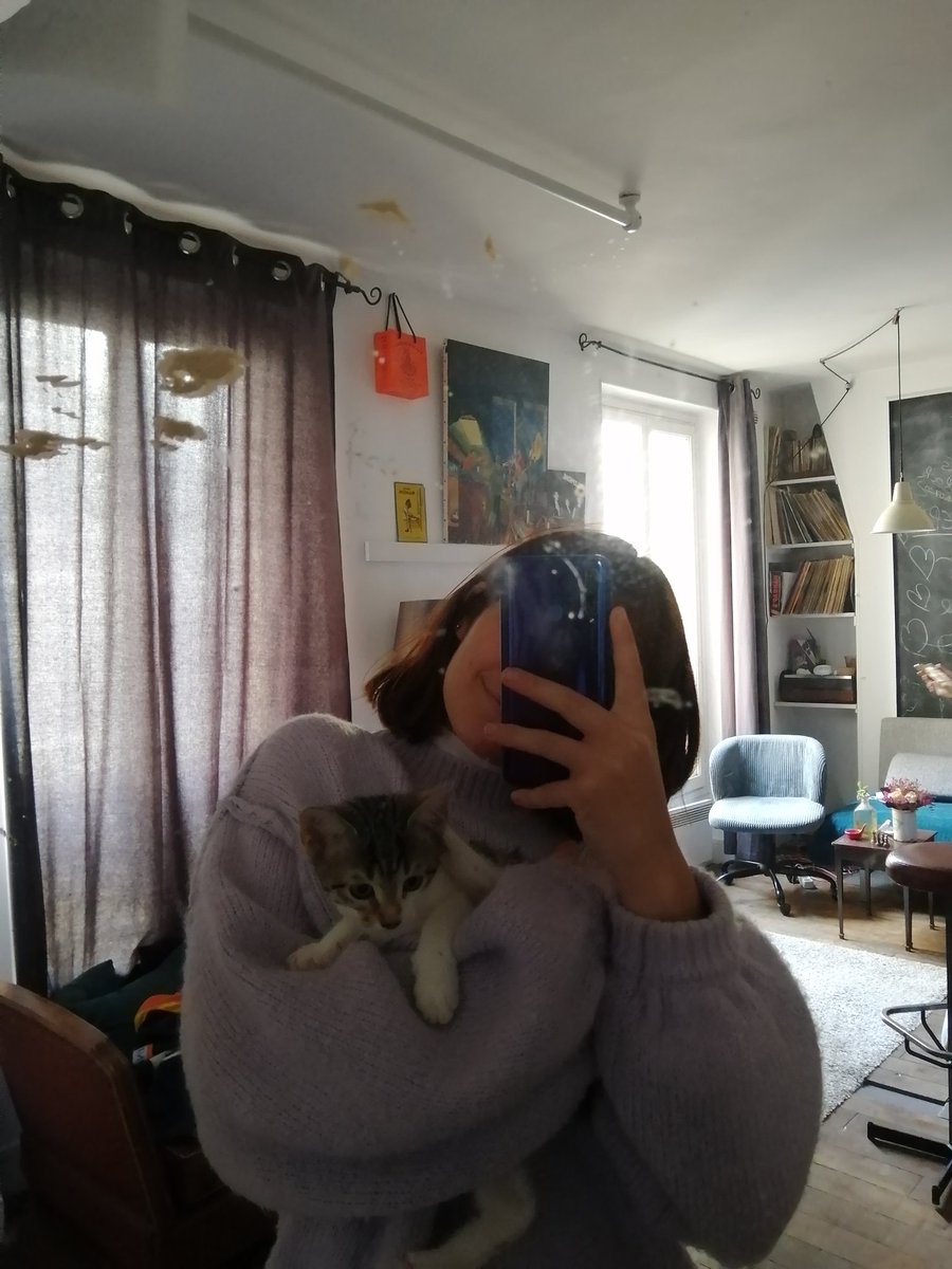 zoë⭐️ tweet media