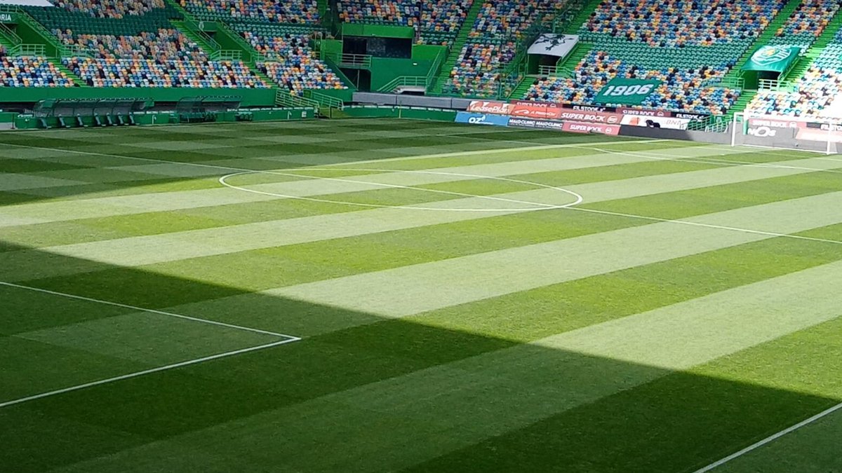 REDrelvados's tweet photo. Noite europeia no #EstádioJoséAlvalade!

@Sporting_CP  🇵🇹 X LASK Linz 🇦🇹 para a @EuropaLeague ! 🏆

European night at Estádio José Alvalade!

Sporting CP 🇵🇹 X LASK Linz 🇦🇹 for #UEFA #EuropaLeague! 🏆

#SportingCP #LASKLinz #relvado #pitch #TurfgrassExperts
https://t.co/sMOynWAnYk https://t.co/X4odf6Y7IH
