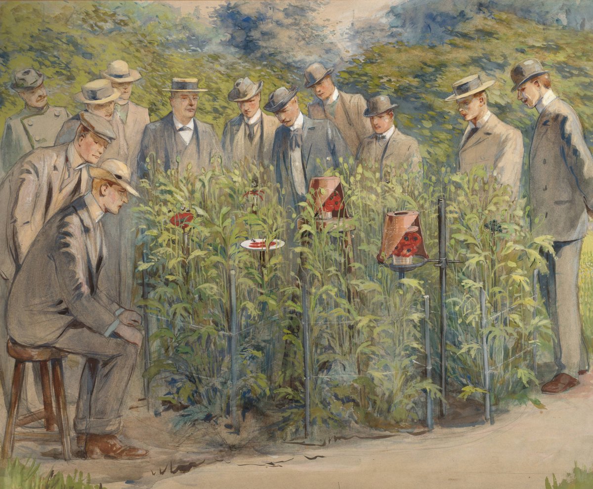To cheer you up on this rainy day: Painting from Louis Raemaekers, 1905, depicting dr. Giltay (pre-WUR) teaching a group of (gentlemen)students . 
More #LouisRaemaekers in the WUR Image Collections images.wur.nl/digital/collec…