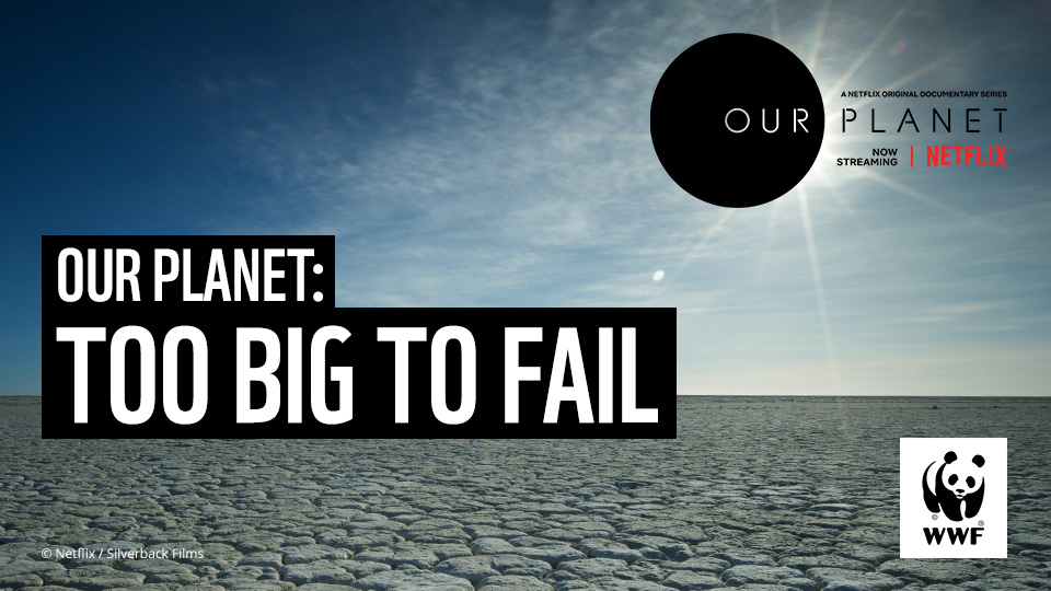 ftlive's tweet photo. How can the finance sector help save the planet? The sector’s leading voices explore the crucial role of finance in turning the tide on climate change and nature loss in Our Planet: Too Big To Fail: https://t.co/CBLyZY55wZ #OurPlanetTooBigToFail #WWF_UK #Silverback_Films https://t.co/RcU4J8RI0h