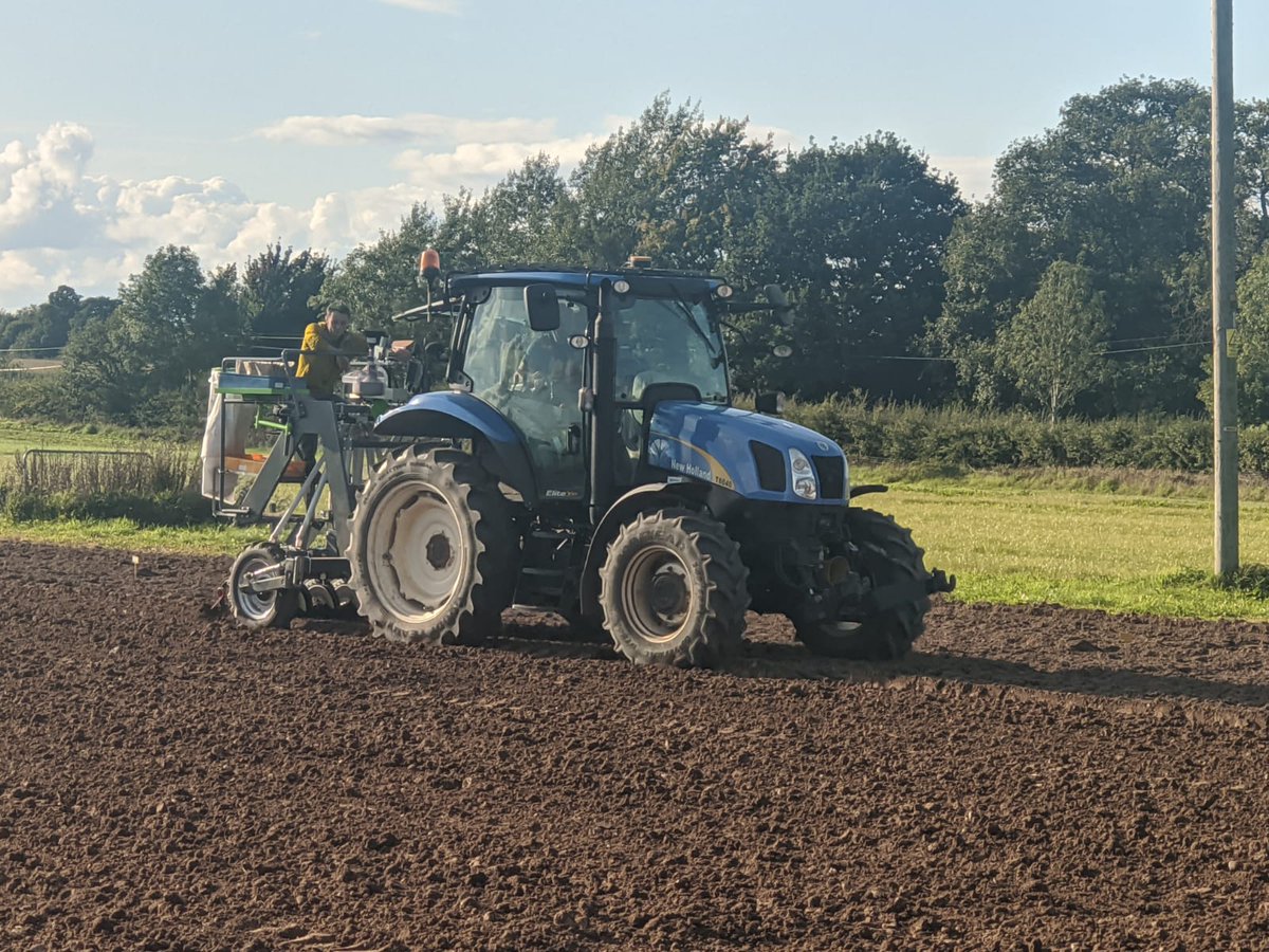 Dr Grace Milburn tweet media