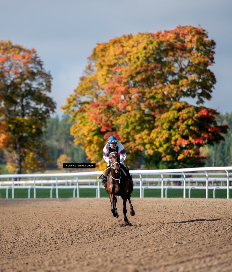 Burning colors on Bro Park yesterday!
Pictured is MUMS MUMS and Madeleine Smith.

<a href="/svenskgalopp/">Svensk Galopp</a> #bropark