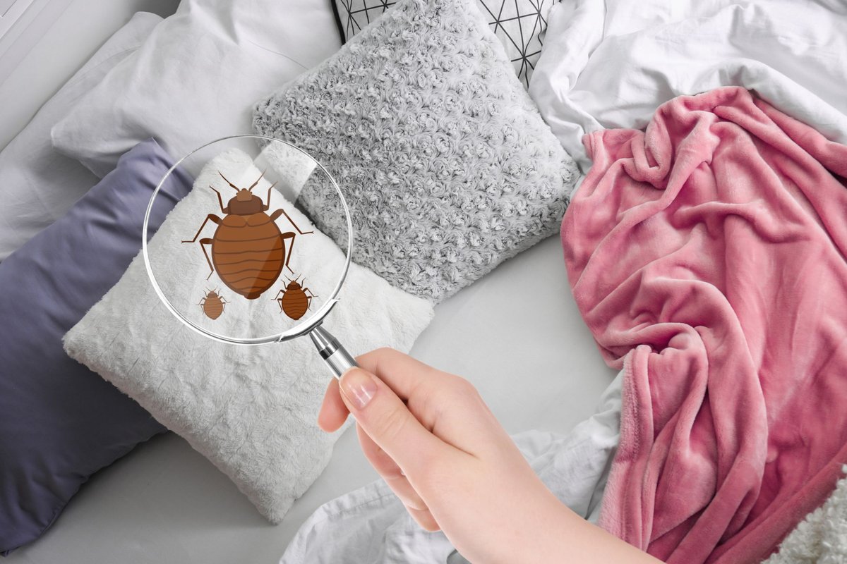 VersaTechPM's tweet image. If you&apos;re getting bit while your sleep, but can&apos;t find what bites you, you may have #bedbugs. Scheduling your FREE #PestInspection can give you peace of mind. If you do have bedbugs, we have state of the art equipment to get rid of them for good. #LAPestControl #freeinspection