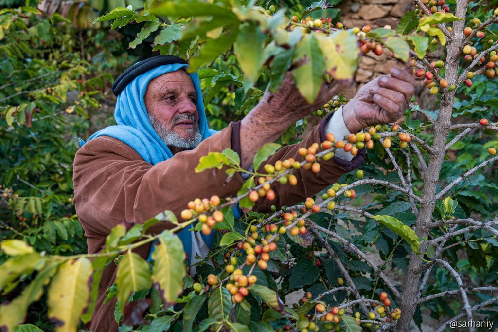 #يوم_القهوة_العالمي