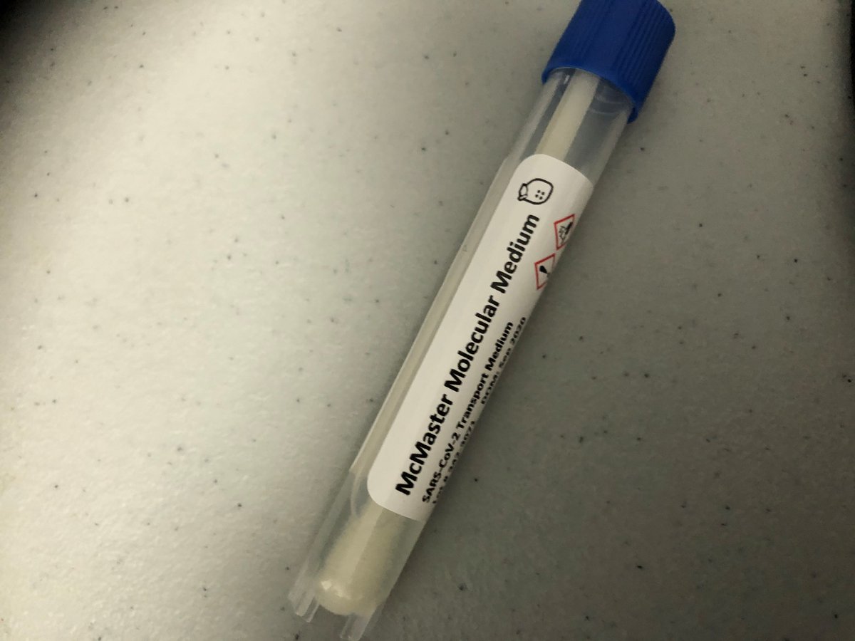 About an hour later I was inside, dropped off saliva test (here's mine) & then had nasal swab. It’s not my first time. It tickles, uncomfortable. My sister found it very painful, but she has the ‘Stiles nose’. I have never been so pleased to have such an unremarkable nose.