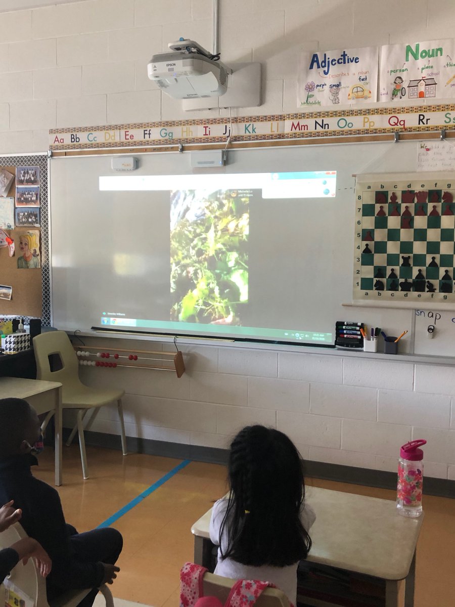 HabermellM's tweet photo. A big thank you to 'The Common Table' for hosting a virtual garden tour!  The students @ThreeValleys asked insightful questions about Earth Systems, Poverty and Ending Hunger.  Thank you Beverley for an amazing tour, social distance style! #discoveryourneighbourhood https://t.co/gigw7iWHRD