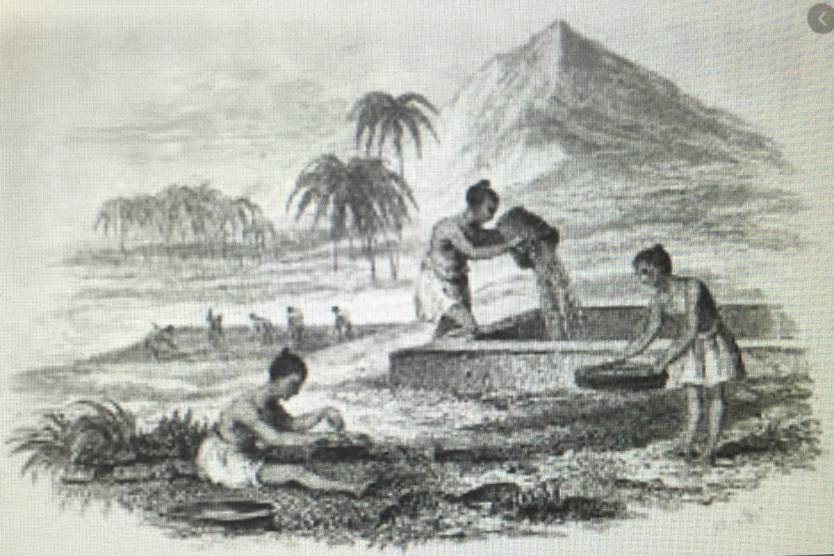 .. In Arabic, words of Indian origin were mostly for spices, medicines and perfumes. In addition, precious stones and diamonds, elephant tusks, and textiles like silk, brocade, cotton and jute were valuable items of trade...