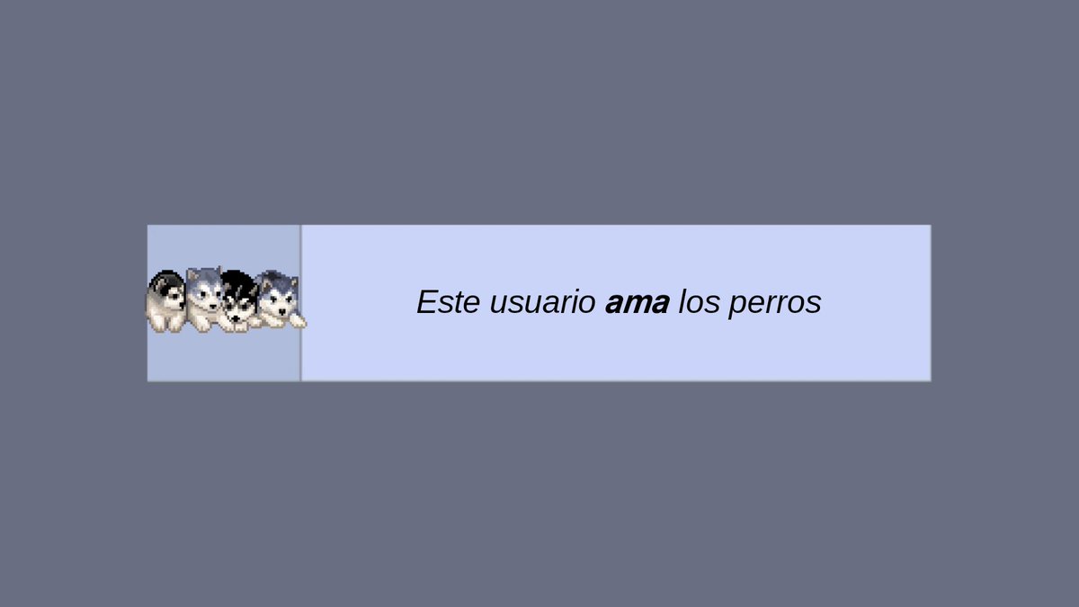 Este user ama los perros 🐶