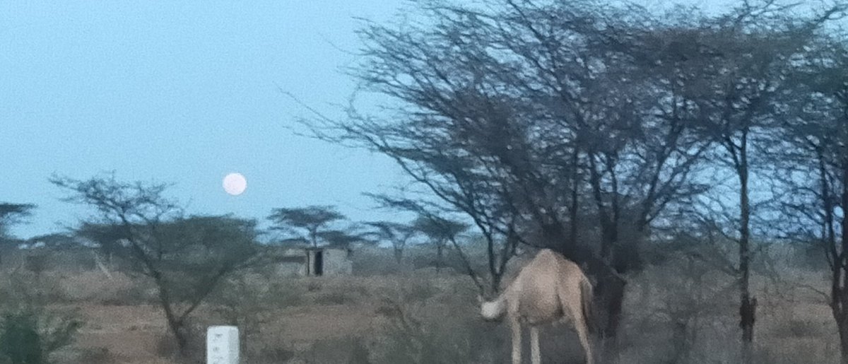 Happy_kulayo's tweet image. Enjoy the view of full moon 🌕 ,Ngaremara Isiolo- Kenya