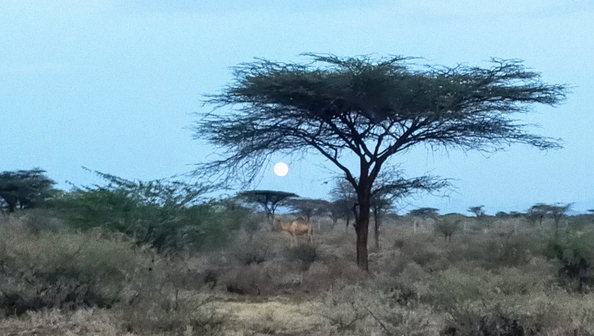 Happy_kulayo's tweet image. Enjoy the view of full moon 🌕 ,Ngaremara Isiolo- Kenya