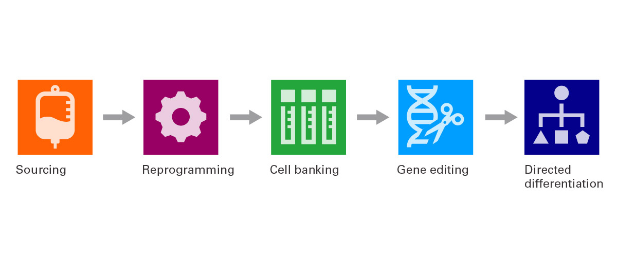 TakaraBioUSA's tweet photo. Simplify your stem cell-based disease model development by outsourcing your project to a trusted service provider. Learn how you can partner with #TakaraBio in 5 easy steps: https://t.co/YZNNpaRk0y
#thatsgoodscience #stemcell #hipsc #drugdiscovery https://t.co/2f73PzLzQV