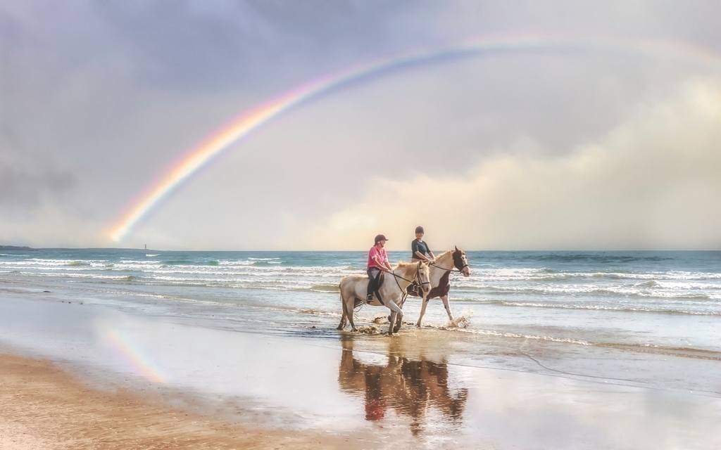 KMitchHodge's tweet photo. Equestrians on Tyrella Beach: riding under a rainbow (Sep., 2020). Full HD image available at https://t.co/eEF1GaIz37
.
.
.
.
#horseridingonthebeach #underarainbow #rainbow #equestrian #horses #irishsea #tyrellabeach #beach #seascape #seascapephotography #landscapephotography #… https://t.co/wwBV8q0SXk