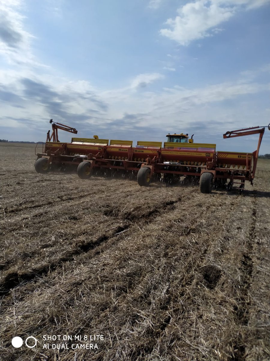 lgsemillas's tweet photo. Seguimos #GenerandoInformacion #Maiz en Saladillo (Bs As) Blaquier nuestro #LiderLG #MartinGaggiotti sumando ensayos en la zona. 👏👏💪💪🌽🌽
#SomosLG
#Deproductoraproductor https://t.co/IIJiFSglX3
