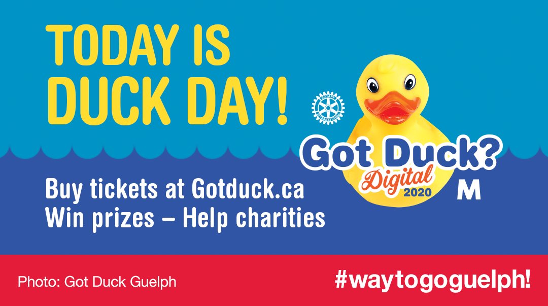 #waytogoguelph! Way to go <a href="/GotDuckGuelph/">GotDuckGuelph</a>! 🦆👏 They are supporting local charities' COVID-19 recovery efforts with their #GotDuck fundraiser, on Oct 10. To ⬆️proceeds the charities will receive, today is Duck Day! A 1-day ticket selling blitz. Spread the word &amp; share their posts.
