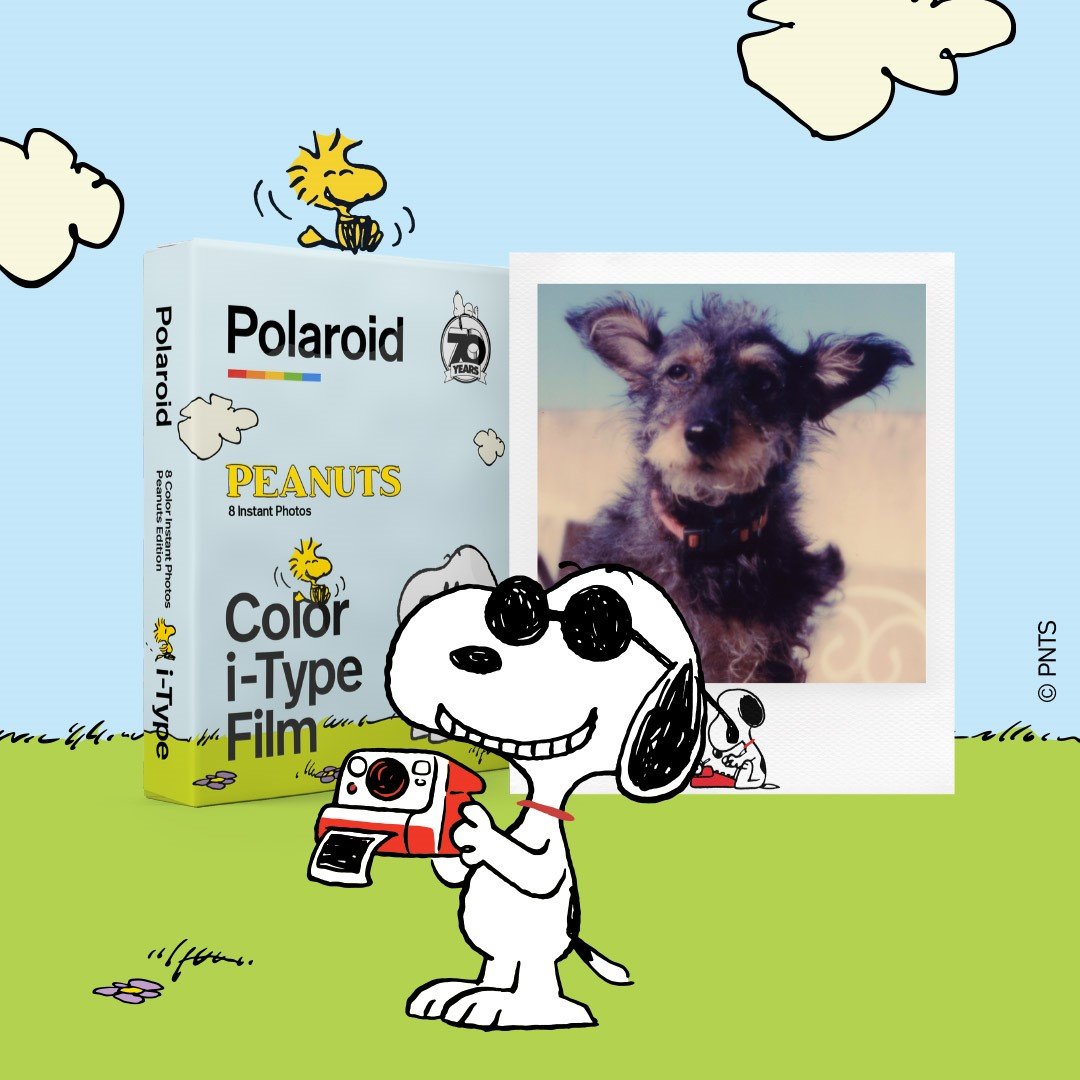 Snoopy's tweet photo. Celebrate 70 years since Snoopy and the rest of the gang hit the scene with the new Peanuts edition i-Type film from @Polaroid. Be the next world famous photographer with 8 frames featuring your favorite Peanuts characters! Shop now at https://t.co/TgY4gHK4Px #Peanuts70 #Snoopy70 https://t.co/v0z23L7dVy