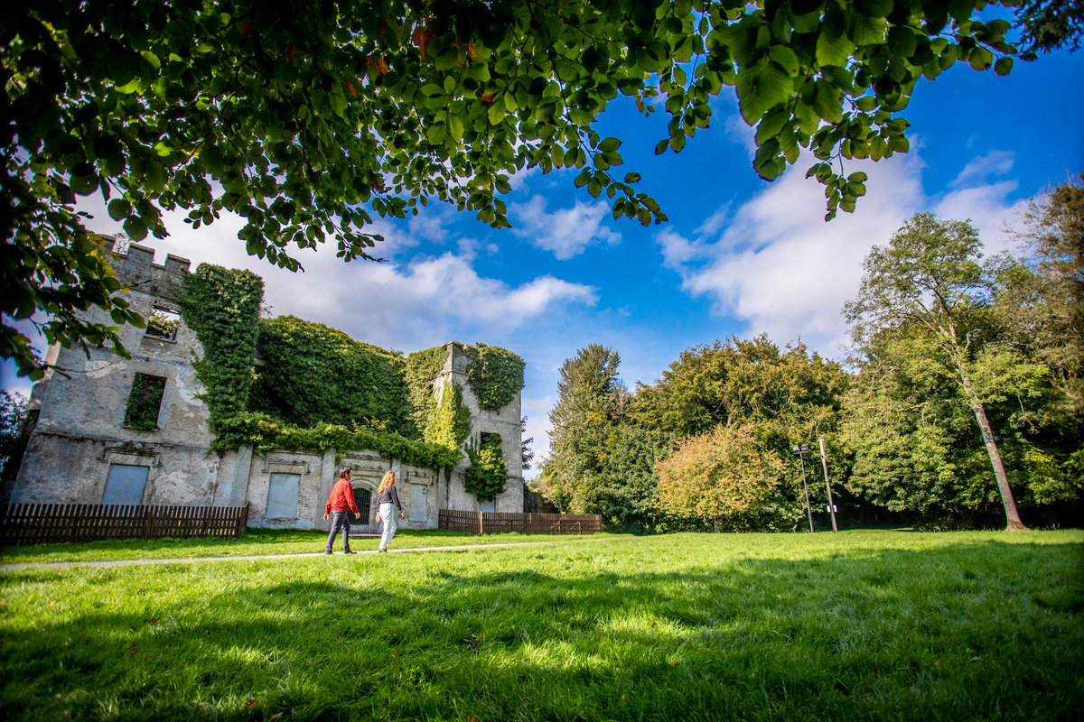 intokildare's tweet photo. Discovering ancient wonders in Donadea Forest Park. 🌳 Get outdoors and explore Kildare this autumn! #Intokildare #wecareinkildare #makeabreakforit #donadeaforestpark Visit: https://t.co/YoNUj3RkMa https://t.co/VBzl4g75ki