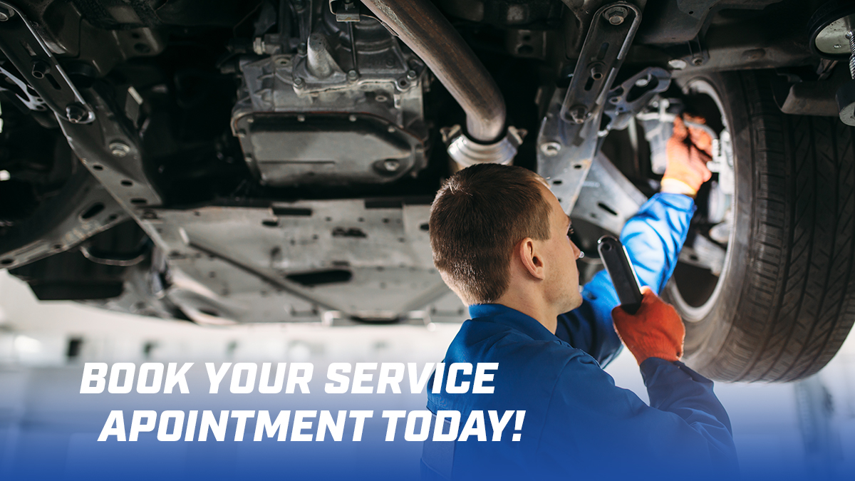 Energy Dodge tweet media