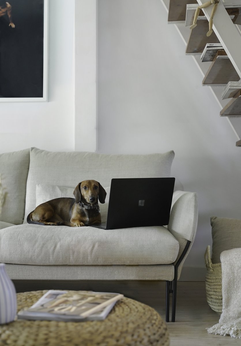 Hay costumbres que no cambiaría por nada del mundo, como las tardes de domingo en el sofá con Kenzo viendo una serie.
Creo que la felicidad está en esos pequeños momentos que compartes en familia, gracias por ayudarnos a crearlos <a href="/MicrosoftES/">Microsoft España</a> #SurfaceYourFlow #SurfaceLapTop3