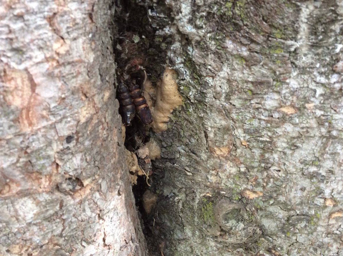 Kinder Room 208 tweet media