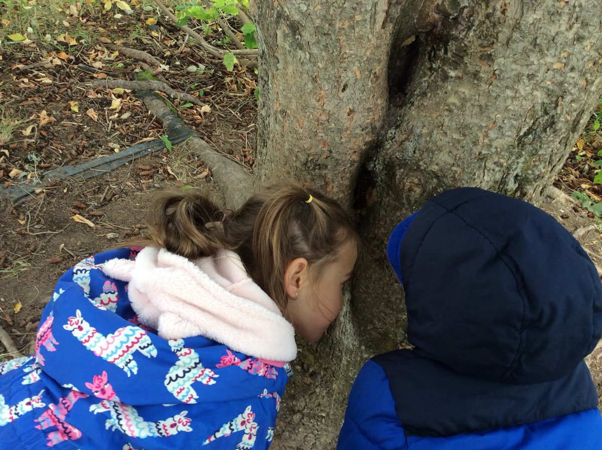 Kinder Room 208 tweet media